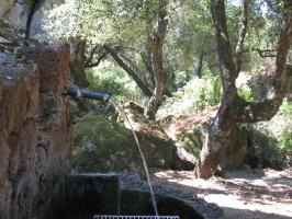arbuda-270609 (23).html